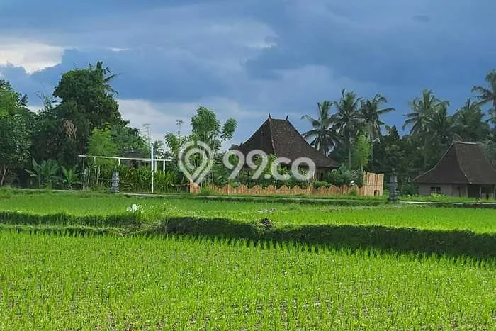 Disewakan Hunian Konsep Modern di Ubud Gianyar dengan 1 KT Disewakan Hunian Konsep Modern di Ubud Gianyar dengan 1 KT