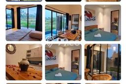 Rumah Cantik Siap Pakai Di Ubud Luas 250m2 Aman Rumah Cantik Siap Pakai Di Ubud Luas 250m2 Aman