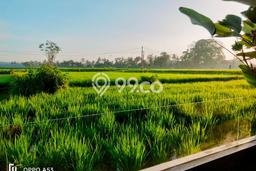Disewakan Rumah Harga Terjangkau di Sayan Gianyar dengan 1 KT Disewakan Rumah Harga Terjangkau di Sayan Gianyar dengan 1 KT