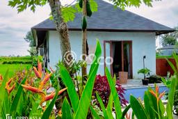 Rumah Cantik Siap Huni Di Ubud Luas 120m2 Lokasi Strategis Rumah Cantik Siap Huni Di Ubud Luas 120m2 Lokasi Strategis