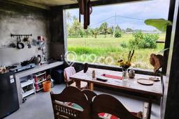 Lokasi strategis! Rumah siap huni dikontrakkan di Gianyar LB 200m2 Lokasi strategis! Rumah siap huni dikontrakkan di Gianyar LB 200m2
