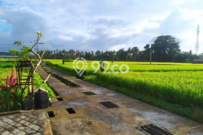 Sewa Rumah Murah di Singapadu Kaler Gianyar dengan 2 KT Sewa Rumah Murah di Singapadu Kaler Gianyar dengan 2 KT