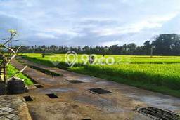 Sewa cepat rumah minimalis lokasi strategis 2 Kamar di Ubud, Gianyar Sewa cepat rumah minimalis lokasi strategis 2 Kamar di Ubud, Gianyar