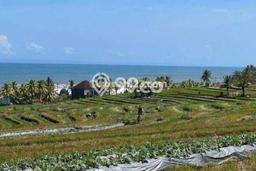 Tanah Kavling Dijual di Tabanan dengan Spesifikasi 1200m2 Tanah Kavling Dijual di Tabanan dengan Spesifikasi 1200m2