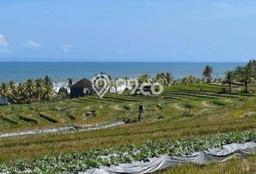 Lahan Dijual Lokasi Strategis di Tabanan dengan Luas 1500m2 Lahan Dijual Lokasi Strategis di Tabanan dengan Luas 1500m2
