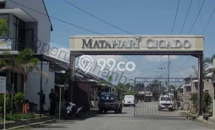 Matahari Cigado Matahari Cigado