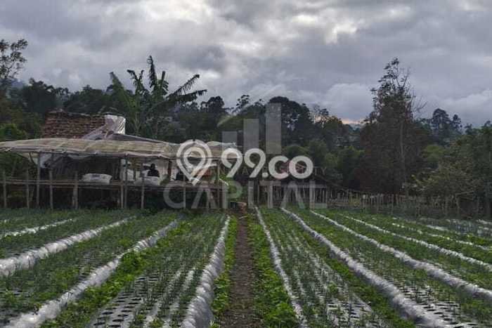 Kavling Tanah di Lembang Dijual Luas 2075m2 Legalitas SHM Kavling Tanah di Lembang Dijual Luas 2075m2 Legalitas SHM