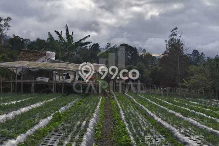 Kavling Tanah di Lembang Dijual Luas 2075m2 Legalitas SHM Kavling Tanah di Lembang Dijual Luas 2075m2 Legalitas SHM