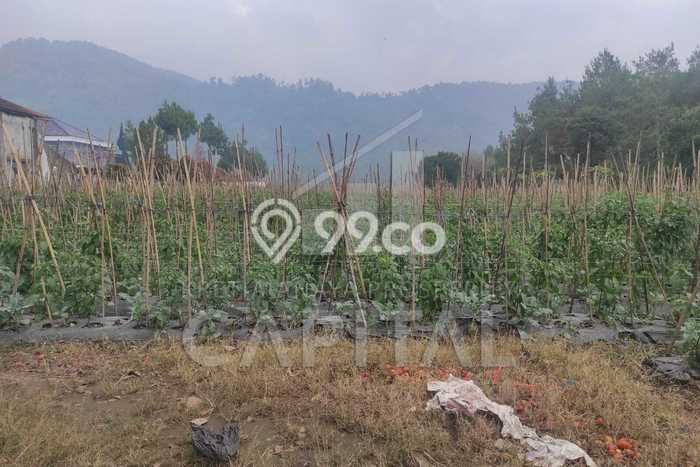 Tanah Kavling di Lembang Dijual dengan Luas 4673m2 Tanah Kavling di Lembang Dijual dengan Luas 4673m2