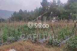 Untuk Dijual Tanah di Lembang Bandung Barat Luas 4673m2 SHM Untuk Dijual Tanah di Lembang Bandung Barat Luas 4673m2 SHM