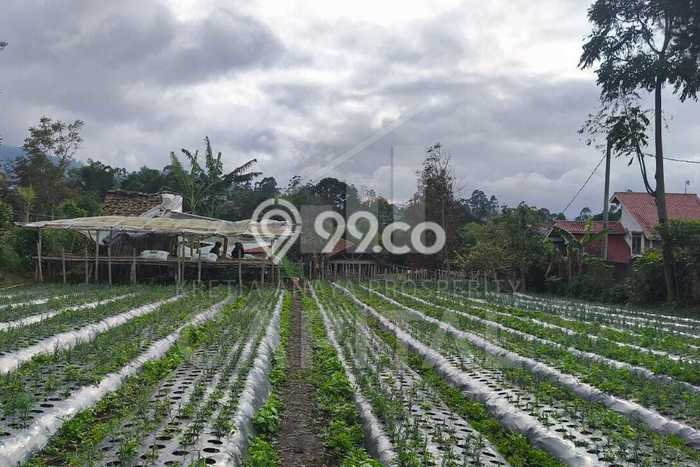 Kavling Tanah di Lembang Dijual Luas 2075m2 Legalitas SHM Kavling Tanah di Lembang Dijual Luas 2075m2 Legalitas SHM
