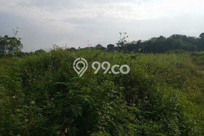 Kavling Tanah di Tigaraksa Dijual Luas 40000m2 Legalitas - Kavling Tanah di Tigaraksa Dijual Luas 40000m2 Legalitas -