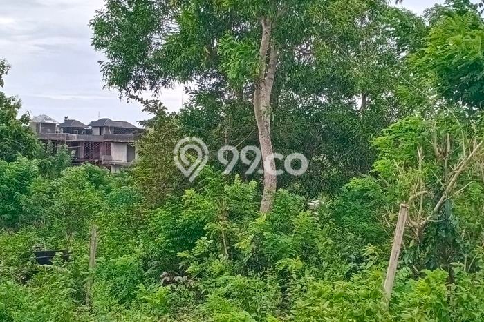 Untuk Disewa Tanah di Badung, Luas 400m2 Area Berkembang Untuk Disewa Tanah di Badung, Luas 400m2 Area Berkembang