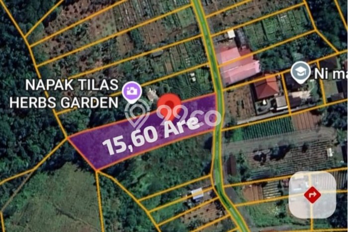 Lahan Dijual Lokasi Tabanan, Tabanan dengan Luas Tanah 1560m2 dan Status SHM Lahan Dijual Lokasi Tabanan, Tabanan dengan Luas Tanah 1560m2 dan Status SHM