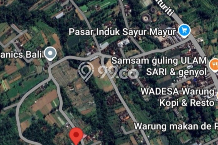 Lahan Dijual Lokasi Tabanan, Tabanan dengan Luas Tanah 1560m2 dan Status SHM Lahan Dijual Lokasi Tabanan, Tabanan dengan Luas Tanah 1560m2 dan Status SHM