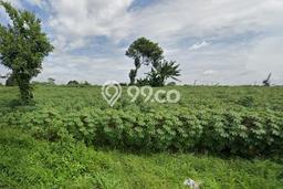 Tanah Dijual Lokasi Tajur Halang, Bogor Luas 443m2 Legalitas Aman Tanah Dijual Lokasi Tajur Halang, Bogor Luas 443m2 Legalitas Aman