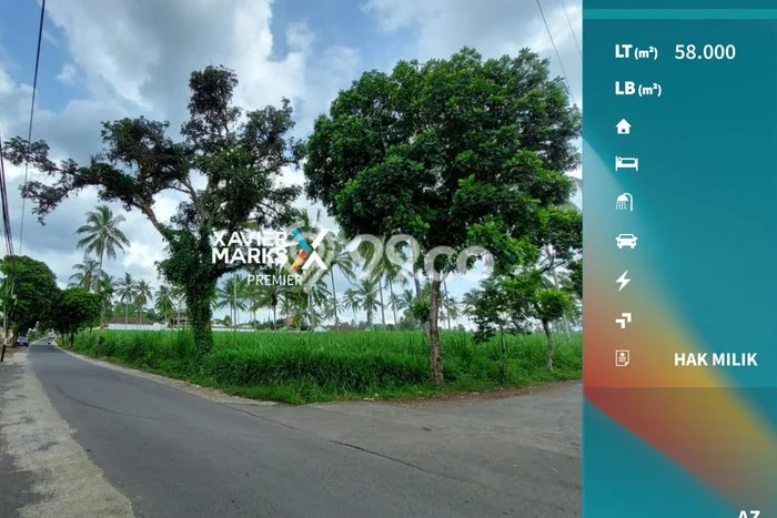 Tanah Dijual Lokasi Dampit Malang SHM Tanah Dijual Lokasi Dampit Malang SHM