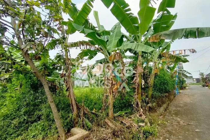 Kavling Tanah Dijual di Singosari Malang Spesifikasi 357m2 Kavling Tanah Dijual di Singosari Malang Spesifikasi 357m2