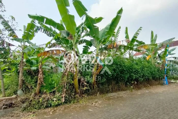 Kavling Tanah Dijual di Singosari Malang Spesifikasi 357m2 Kavling Tanah Dijual di Singosari Malang Spesifikasi 357m2