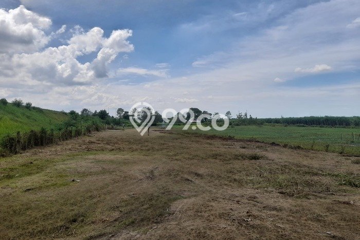 Tanah Kavling Lokasi Strategis Adiwerna Permai Tanah Kavling Lokasi Strategis Adiwerna Permai