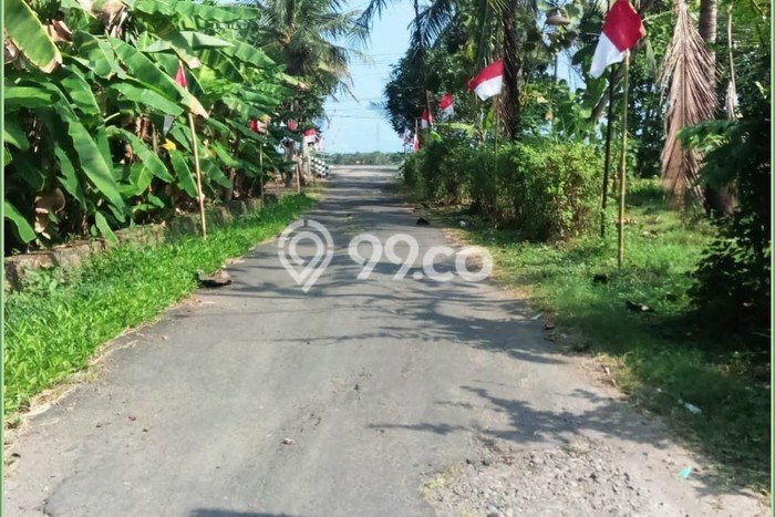 Tanah Kavling Dijual di Kulon Progo dengan Spesifikasi 98m2 Tanah Kavling Dijual di Kulon Progo dengan Spesifikasi 98m2