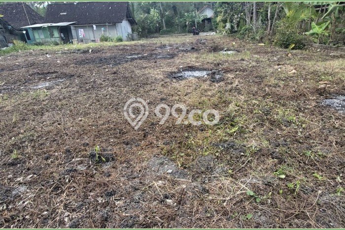 Tanah Investasi Dijual di Kulon Progo Punya Luas 9800m2 Tanah Investasi Dijual di Kulon Progo Punya Luas 9800m2