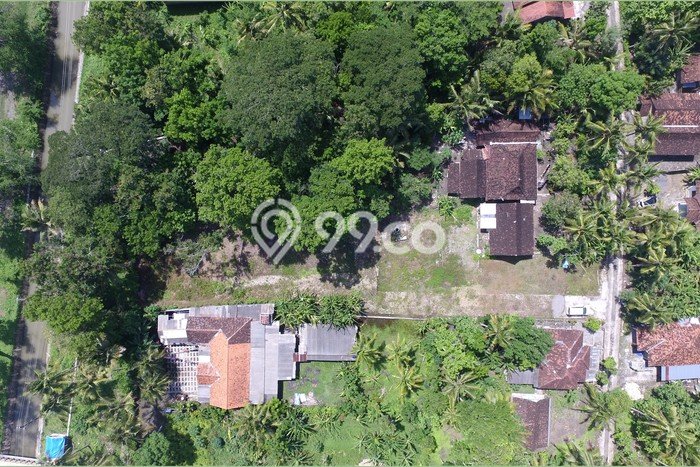Untuk Dijual Tanah di Kulon Progo, Luas 9800m2 SHM Untuk Dijual Tanah di Kulon Progo, Luas 9800m2 SHM