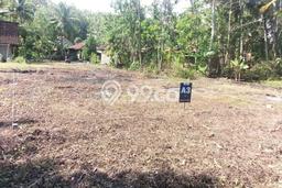 Tanah Dijual Area Strategis di Kulonprogo Kulon Progo 9800m2 Tanah Dijual Area Strategis di Kulonprogo Kulon Progo 9800m2