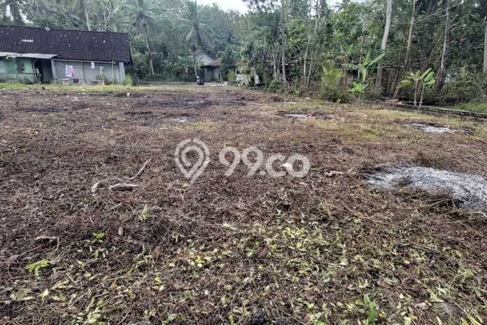 Tanah Dijual Area Strategis di Kulonprogo Kulon Progo 9800m2 Tanah Dijual Area Strategis di Kulonprogo Kulon Progo 9800m2