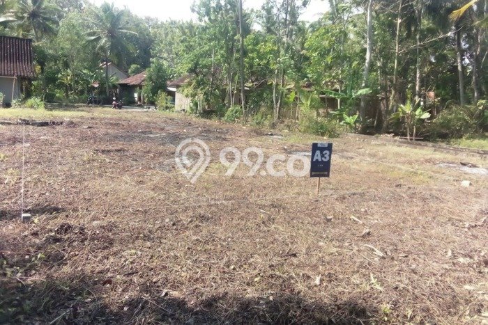 Dijual Tanah di Kulon Progo, Luas 9800m2 SHM Dijual Tanah di Kulon Progo, Luas 9800m2 SHM