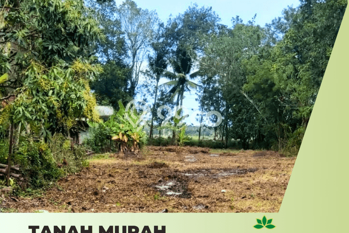 Tanah Area Prospektif di Wates, Luas 98m², Akses ke Fasilitas Tanah Area Prospektif di Wates, Luas 98m², Akses ke Fasilitas