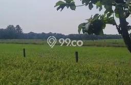 Kavling Tanah Dijual di Subang, Subang, Luas 110000m2 Area Strategis Kavling Tanah Dijual di Subang, Subang, Luas 110000m2 Area Strategis