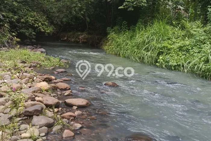 Lahan untuk Dijual di Amurang Minahasa Selatan Luas 530000m2 Lahan untuk Dijual di Amurang Minahasa Selatan Luas 530000m2