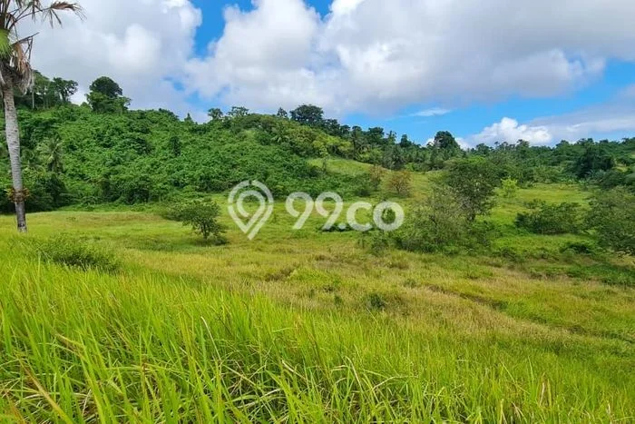 Tanah di Tikala, Manado Luas 558m2 Dijual Segera Tanah di Tikala, Manado Luas 558m2 Dijual Segera