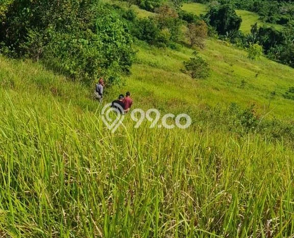 Tanah di Tikala, Manado Luas 558m2 Dijual Segera Tanah di Tikala, Manado Luas 558m2 Dijual Segera