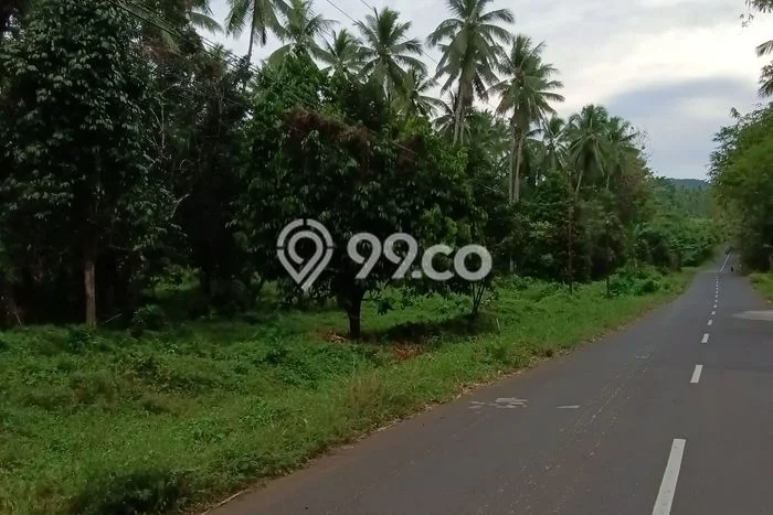 Tanah Kavling di Tuminting Dijual dengan Luas 60000m2 Tanah Kavling di Tuminting Dijual dengan Luas 60000m2