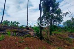 Untuk Dijual Tanah di Malalayang Manado Luas 11000m2 SHM Untuk Dijual Tanah di Malalayang Manado Luas 11000m2 SHM