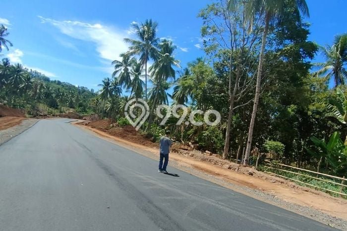 Kavling Tanah Dijual di Malalayang Manado Spesifikasi 13000m2 Kavling Tanah Dijual di Malalayang Manado Spesifikasi 13000m2