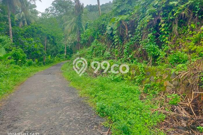 Lahan untuk Dijual di Tuminting Manado Luas 10000m2 Lahan untuk Dijual di Tuminting Manado Luas 10000m2