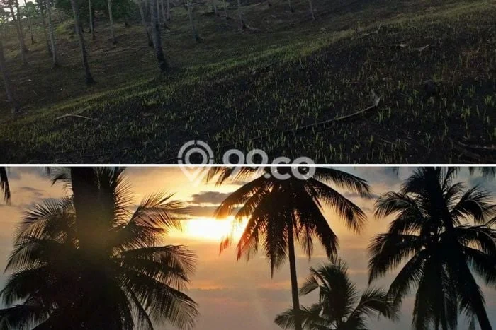 Tanah untuk Dijual di Bunaken Manado Luas 400000m2 Tanah untuk Dijual di Bunaken Manado Luas 400000m2