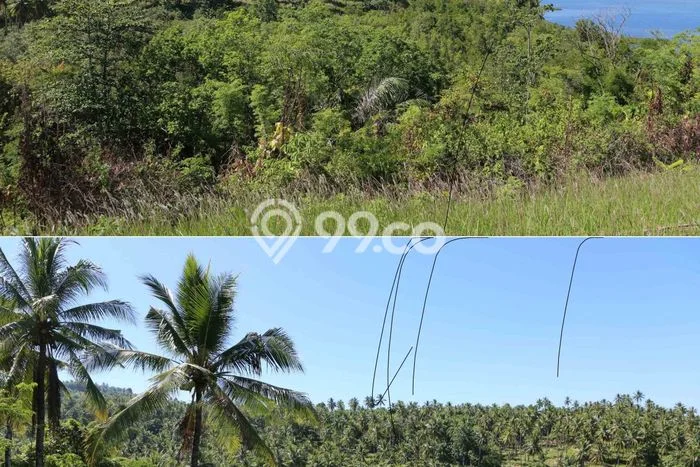 Tanah untuk Dijual di Bunaken Manado Luas 400000m2 Tanah untuk Dijual di Bunaken Manado Luas 400000m2