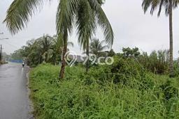 Lahan untuk Dijual Lokasi Kalawat, Minahasa Utara Luas 1100m2 SHM Lahan untuk Dijual Lokasi Kalawat, Minahasa Utara Luas 1100m2 SHM