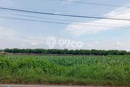 Kavling Tanah Dijual di Kabuh, Jombang, Luas 13760m2 Area Strategis Kavling Tanah Dijual di Kabuh, Jombang, Luas 13760m2 Area Strategis