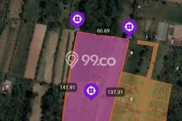 Lahan Investasi Lokasi Petang Badung SHM Lahan Investasi Lokasi Petang Badung SHM