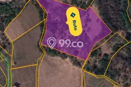 Kavling Tanah untuk Dijual di Antosari, Tabanan, Luas 8800m2 Kavling Tanah untuk Dijual di Antosari, Tabanan, Luas 8800m2