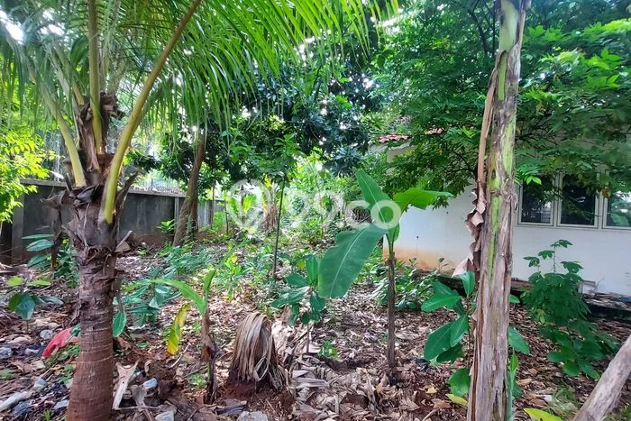 Tanah untuk Dijual di Kebayoran Lama Jakarta Selatan Luas 540m2 Tanah untuk Dijual di Kebayoran Lama Jakarta Selatan Luas 540m2