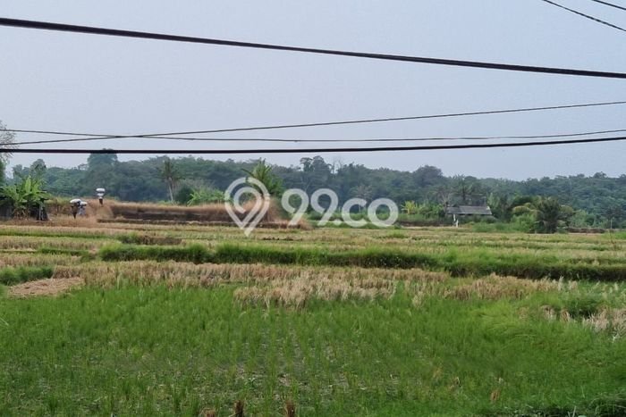 Tanah Dijual Lokasi Strategis di Gianyar dengan Luas 1875m2 Tanah Dijual Lokasi Strategis di Gianyar dengan Luas 1875m2