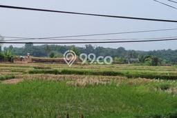 Tanah Dijual Lokasi Strategis di Gianyar dengan Luas 1875m2 Tanah Dijual Lokasi Strategis di Gianyar dengan Luas 1875m2