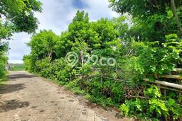 Tanah Siap Bangun Dijual di Badung Punya Luas 600m2 Tanah Siap Bangun Dijual di Badung Punya Luas 600m2