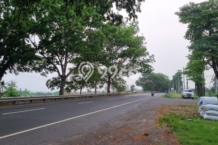 Tanah Dijual Lokasi Strategis di Gianyar dengan Luas 1875m2 Tanah Dijual Lokasi Strategis di Gianyar dengan Luas 1875m2